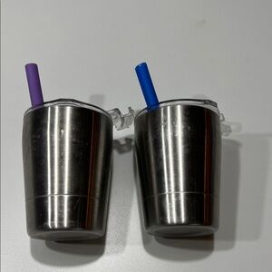 Stainless Steel Tumblers with Straws